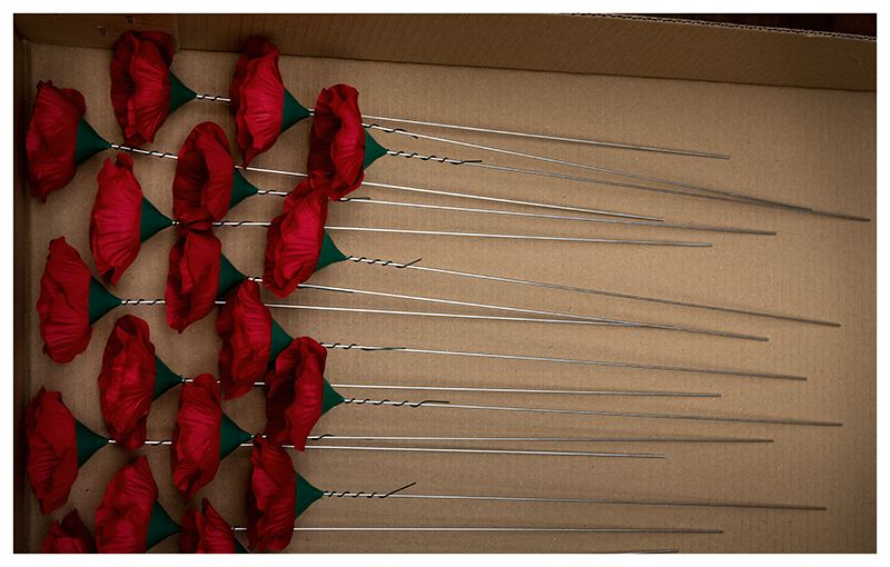 Red pins arranged in a diagonal pattern casting shadows on a beige surface.