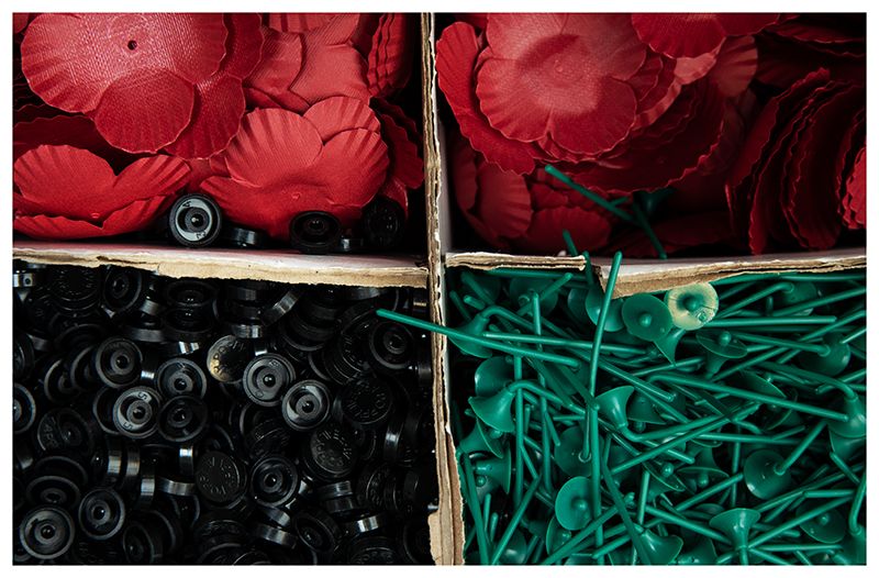 Compartmentalized storage box containing red flowers, black buttons, and green pins.