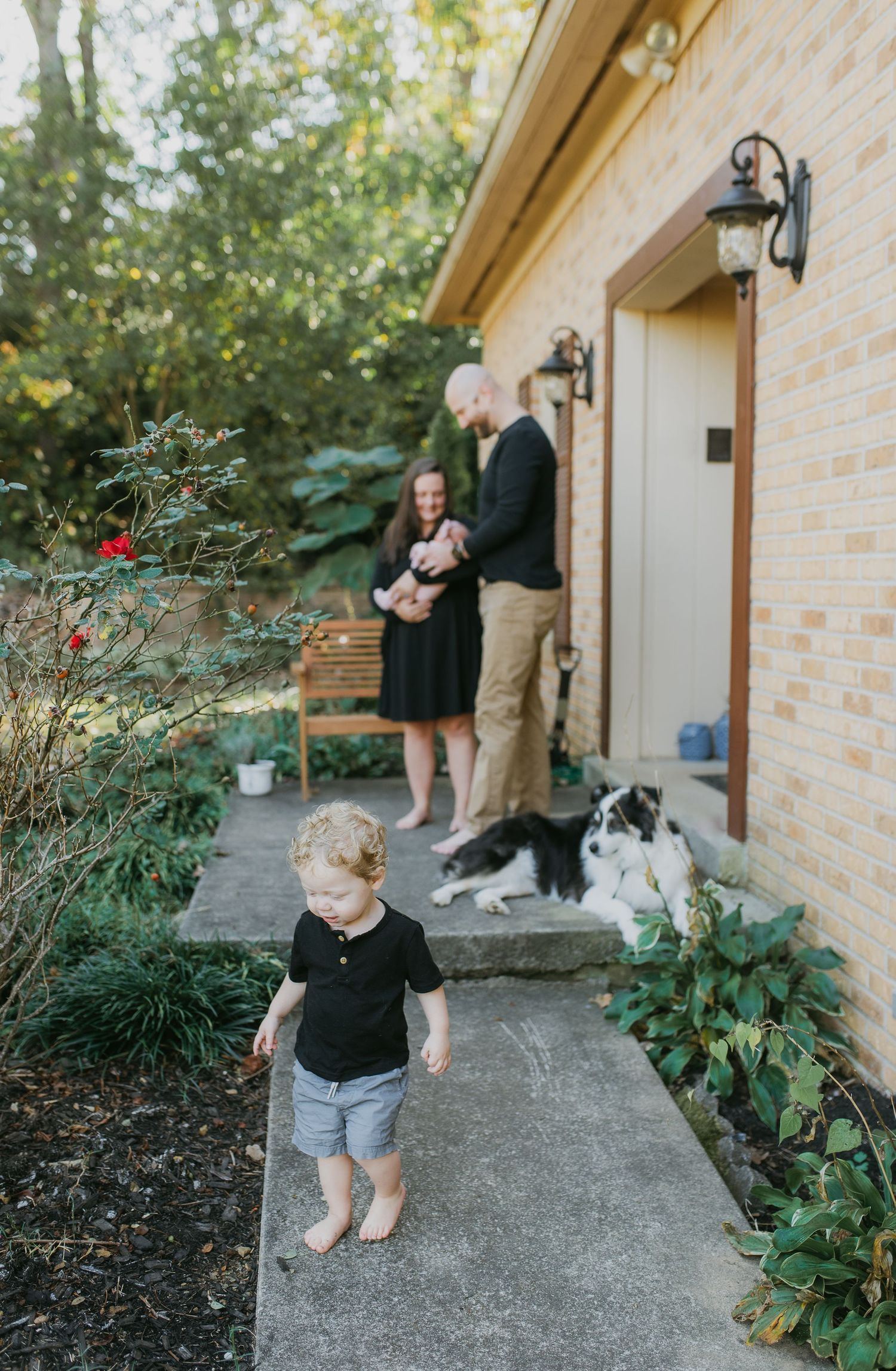 knoxville newborn photographer