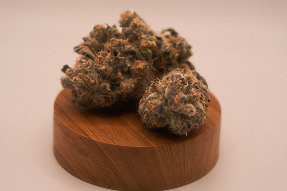 Boston Cannabis Photography