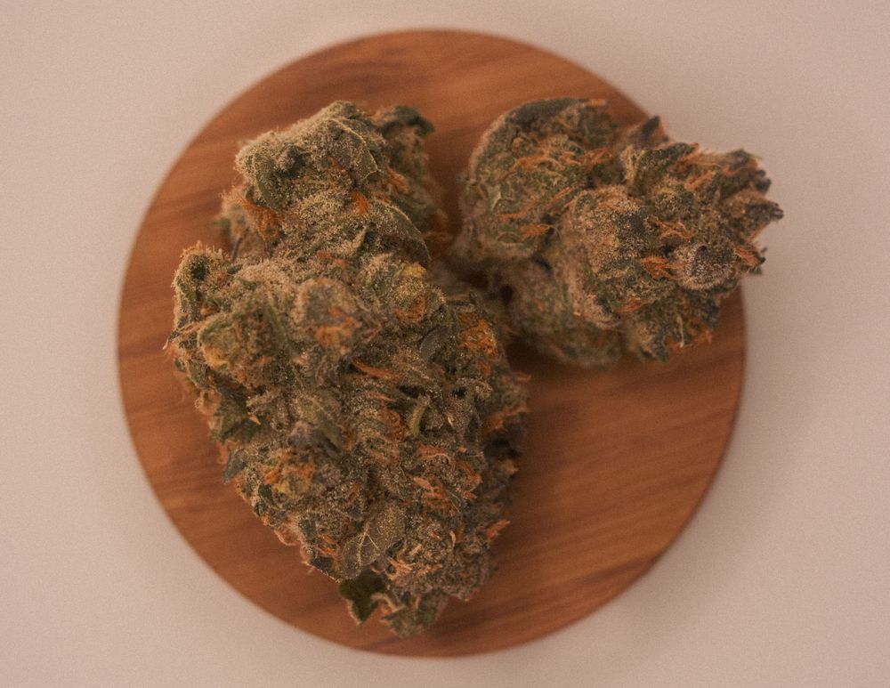 Boston Cannabis Photography