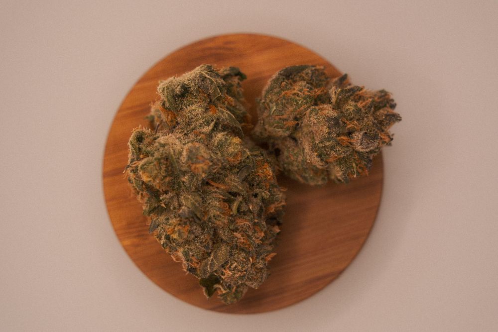 Boston Cannabis Photography