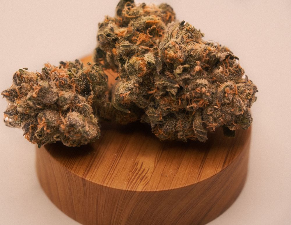 Boston Cannabis Photography
