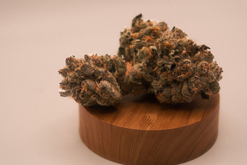 Boston Cannabis Photography
