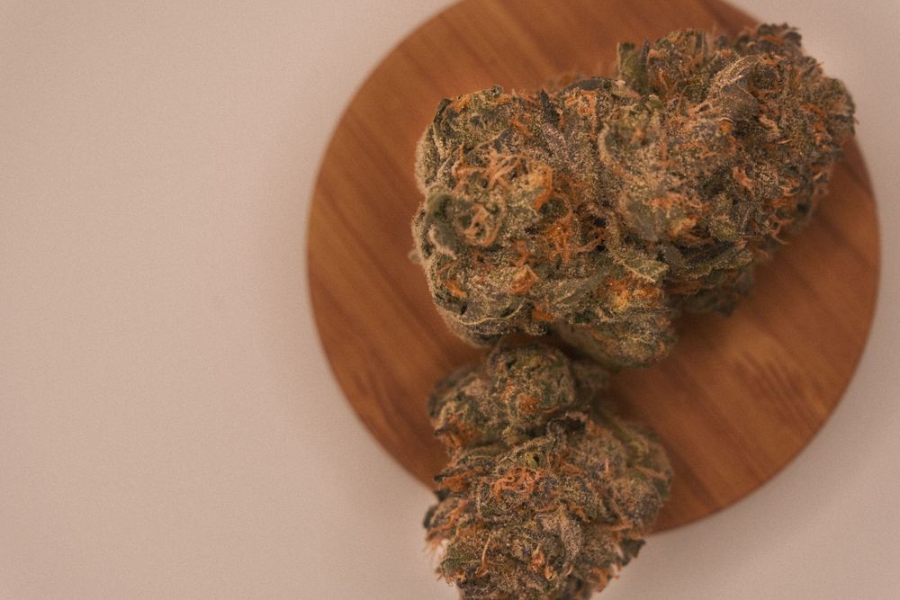 Boston Cannabis Photography