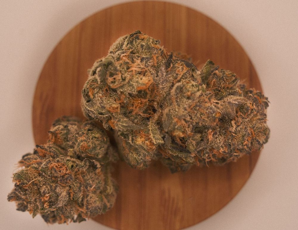 Cannabis Photography Boston MA