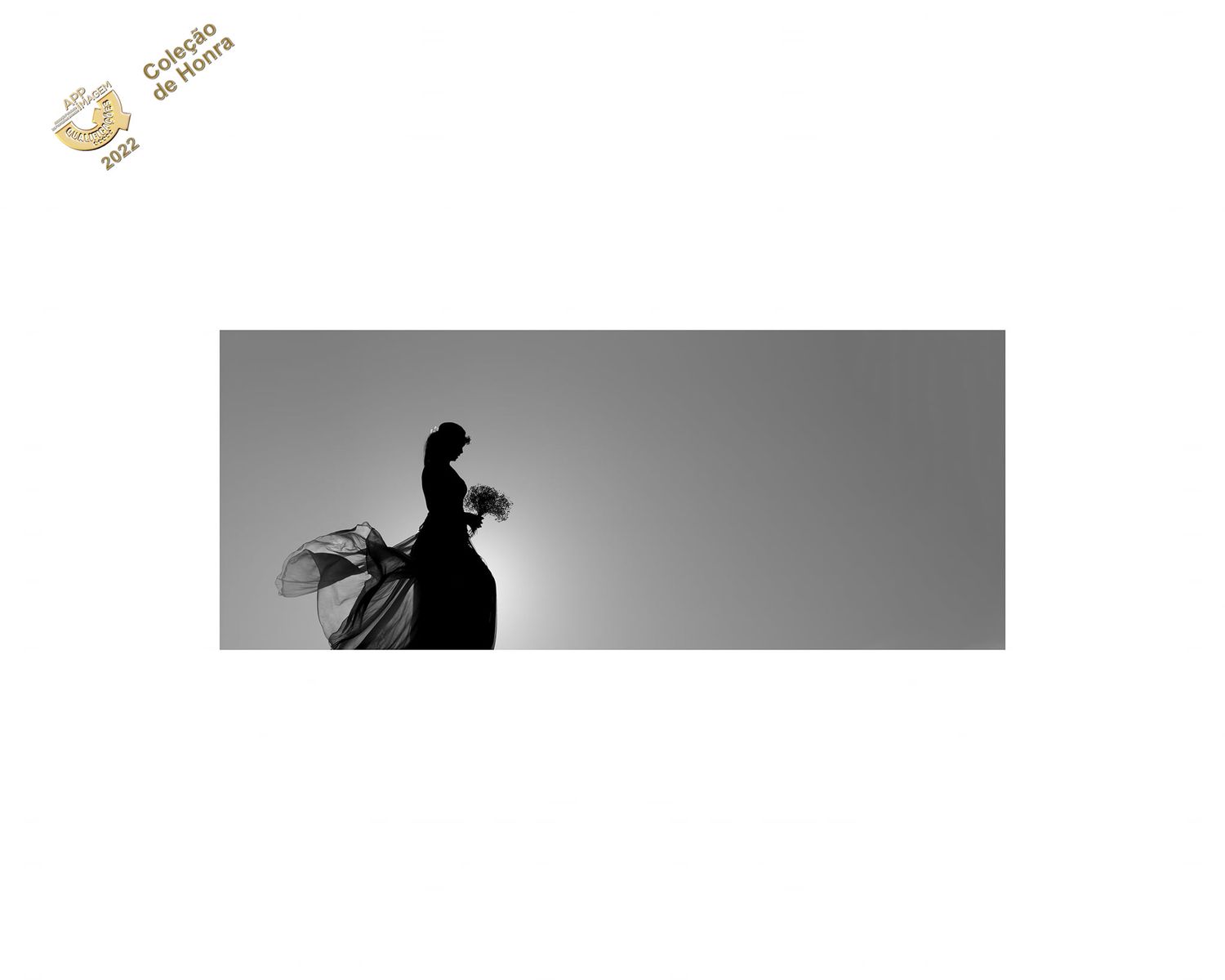 Coleção de honra fotógrafo de casamento do fotógrafo de cantanhede