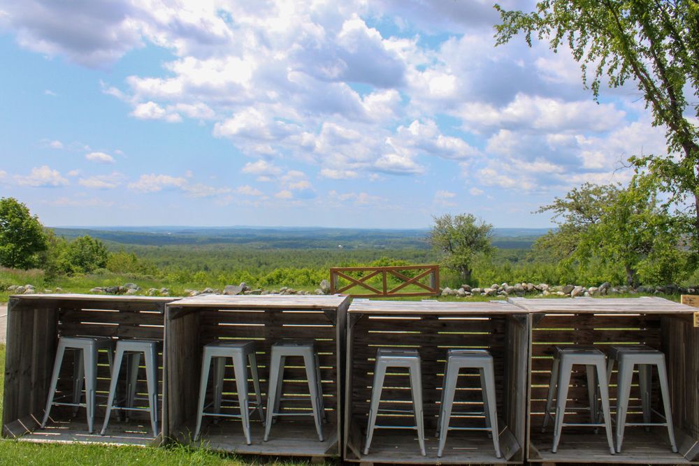 wedding barn outdoor tasting