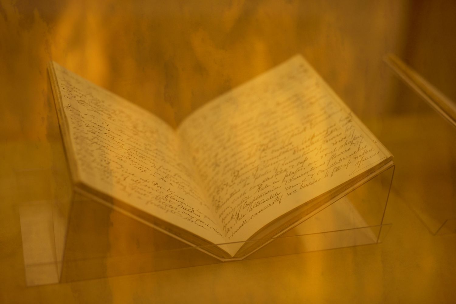 Beinecke Rare Book & Manuscript Library at Yale University