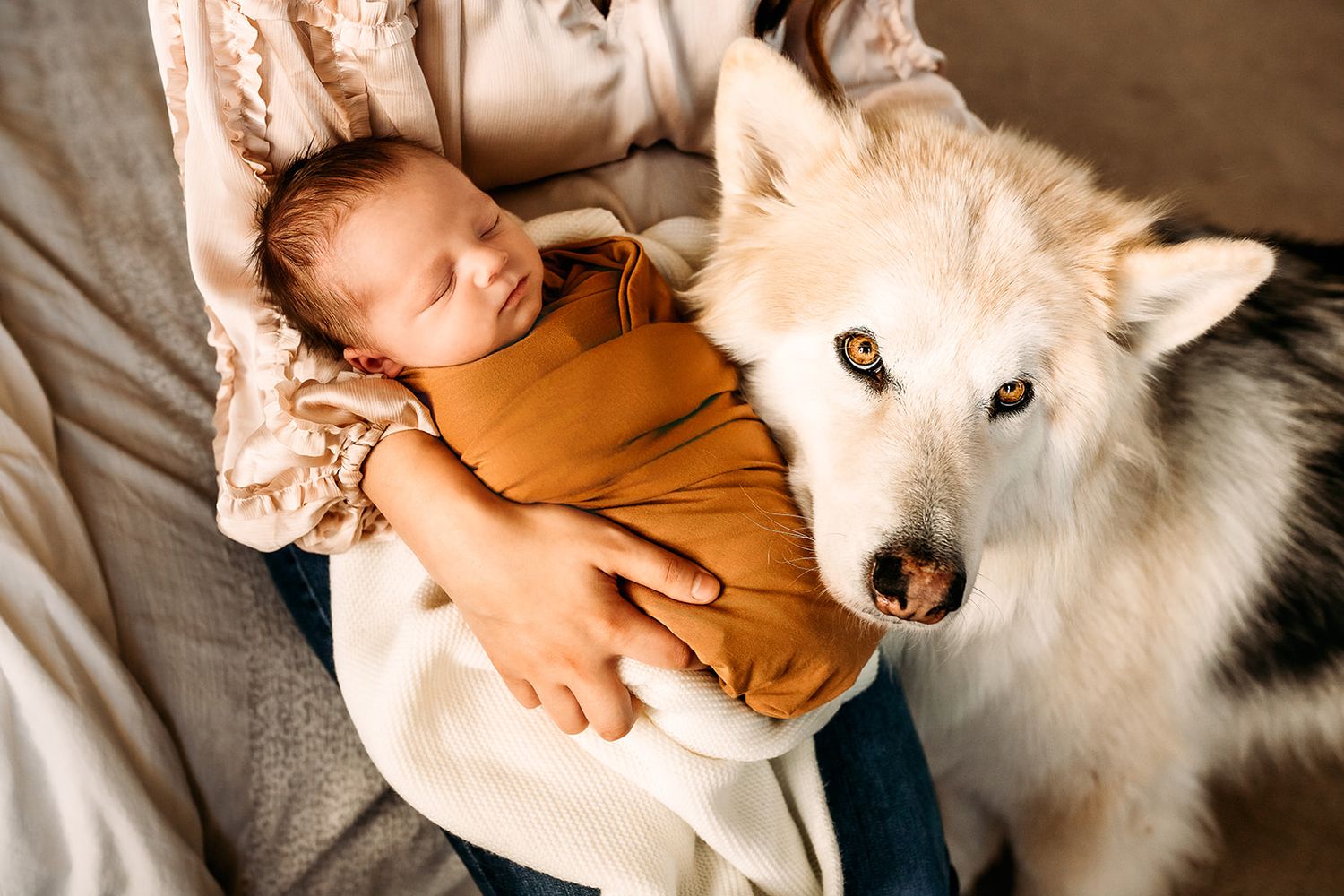 A white fluffy dog poses next to a newborn baby boy.