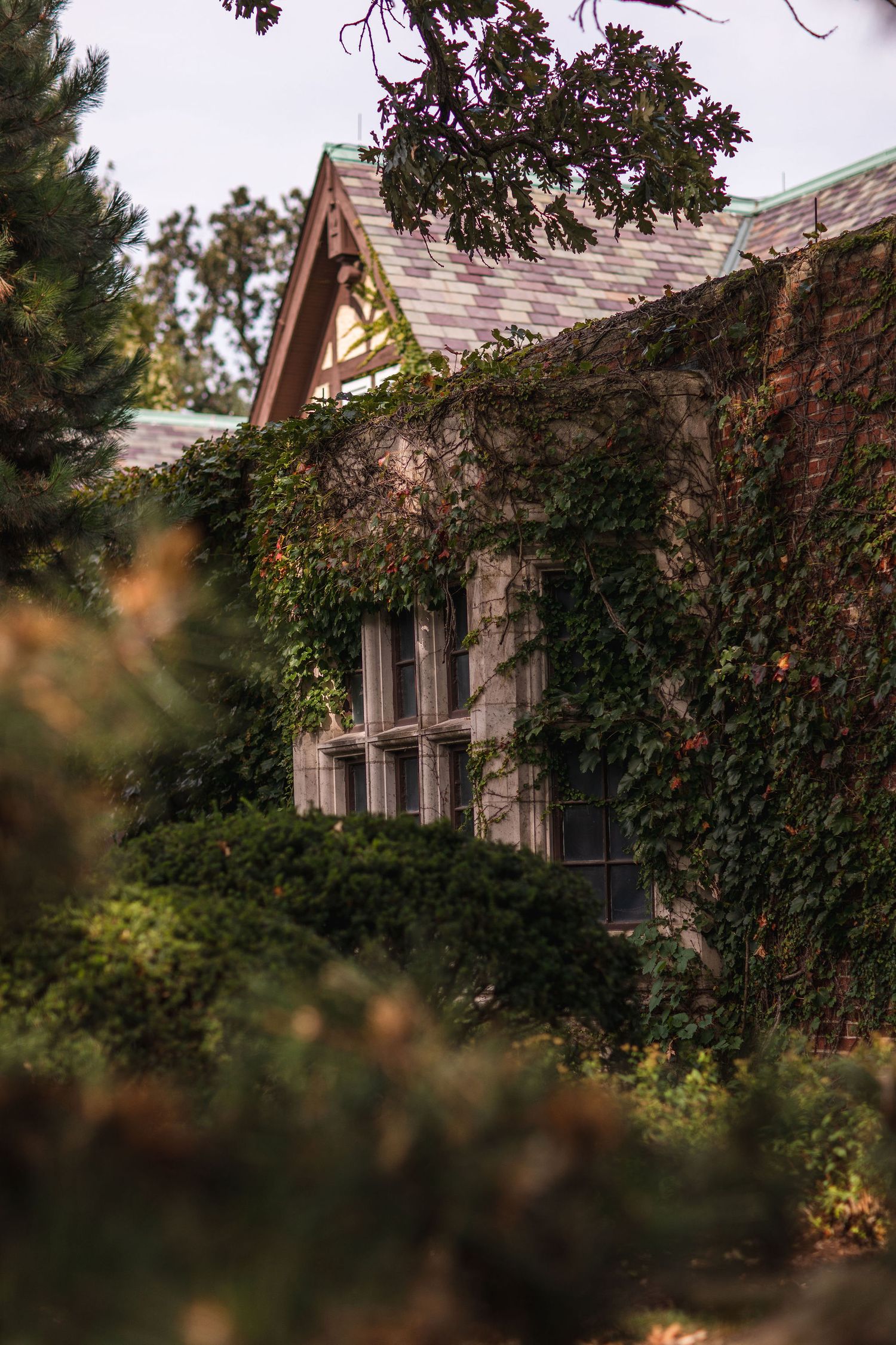 Stone cottage with peaked roof covered in climbing ivy and surrounded by autumn foliage.