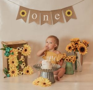 one year cake smash session in south ga area