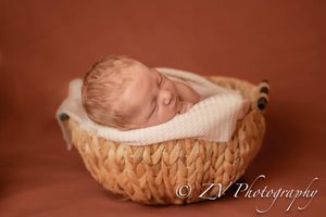 newborn photography in thomasville, cairo, bainbridge and tallahassee
