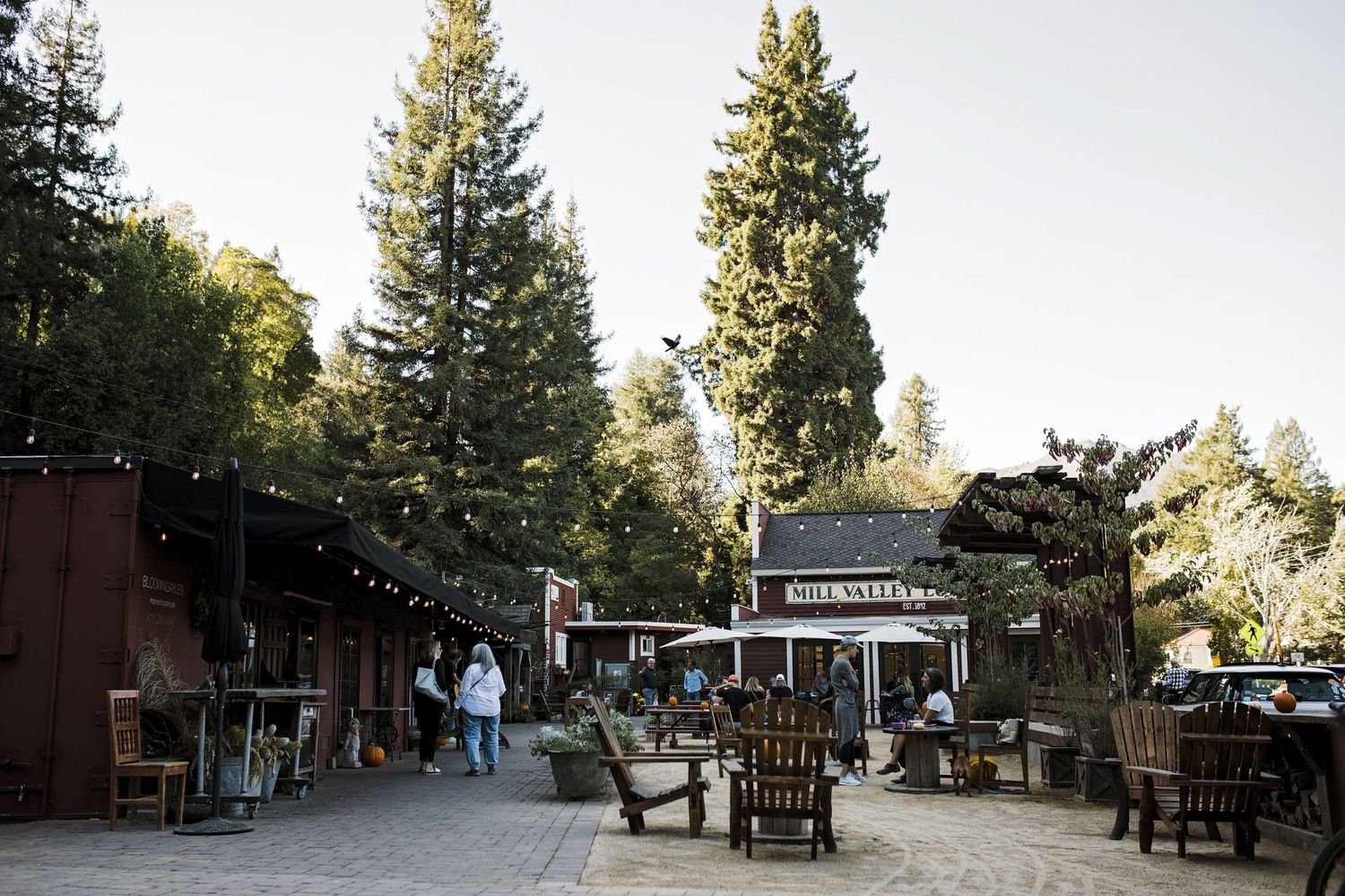 Downtown Mill Valley.