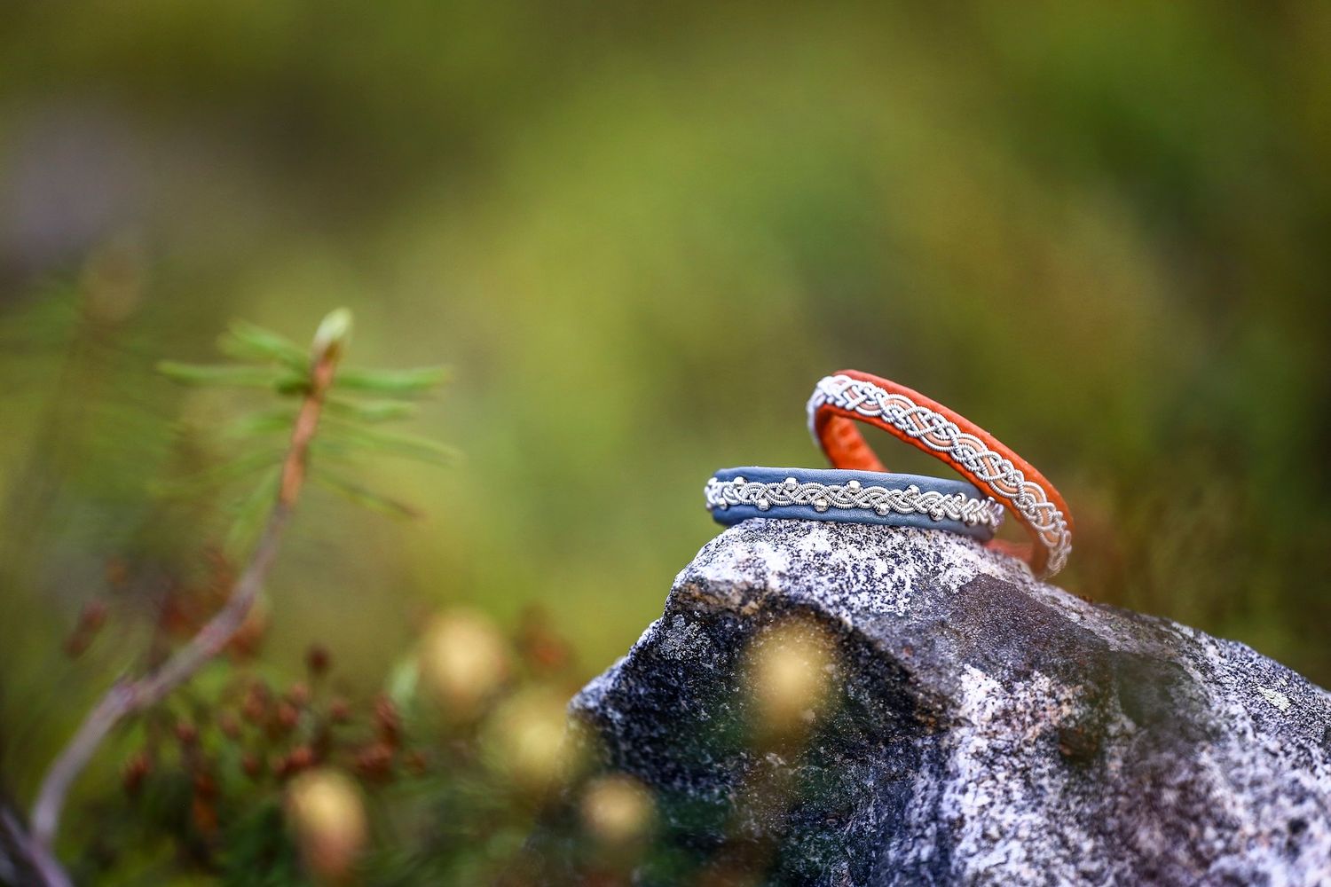 Two colorful rings resting on a mossy rock with a soft green bokeh nature background.