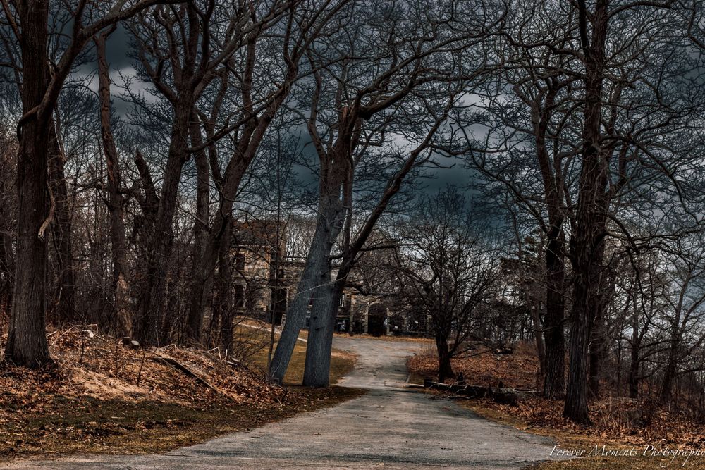 Winding road through bare autumn trees leading to an old building.
