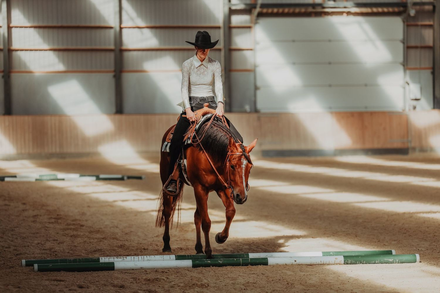 Equestrian practicing pole work with a bay horse in a covered riding arena.