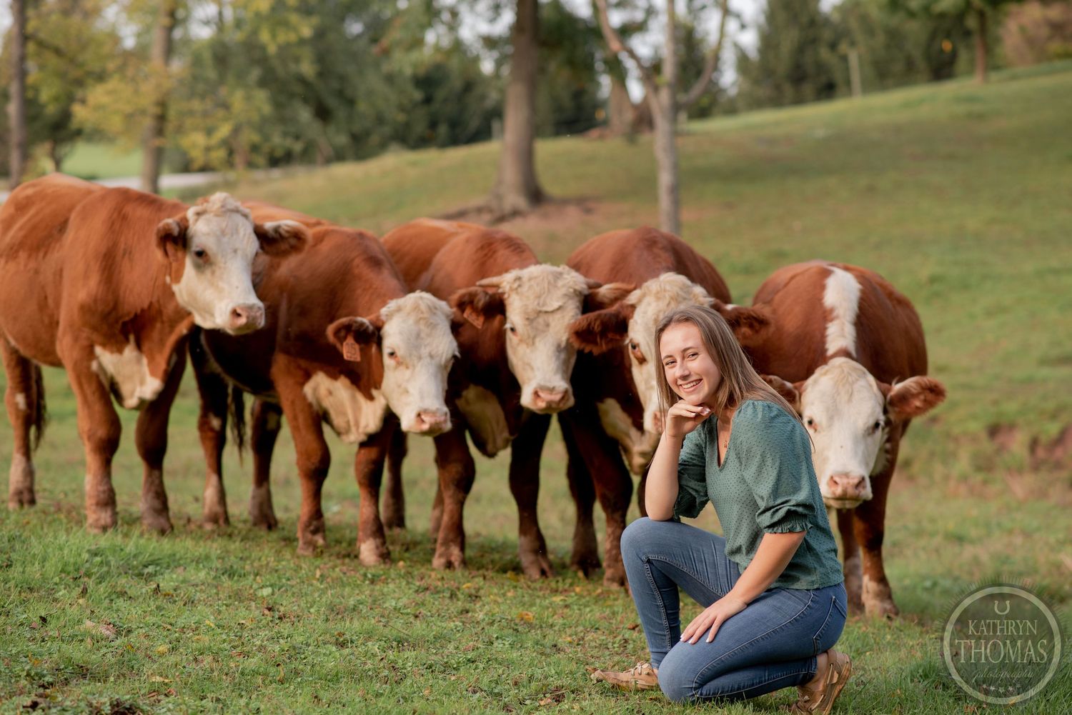 A person sits on grass while several Hereford cows line up behind them in a pastoral setting.