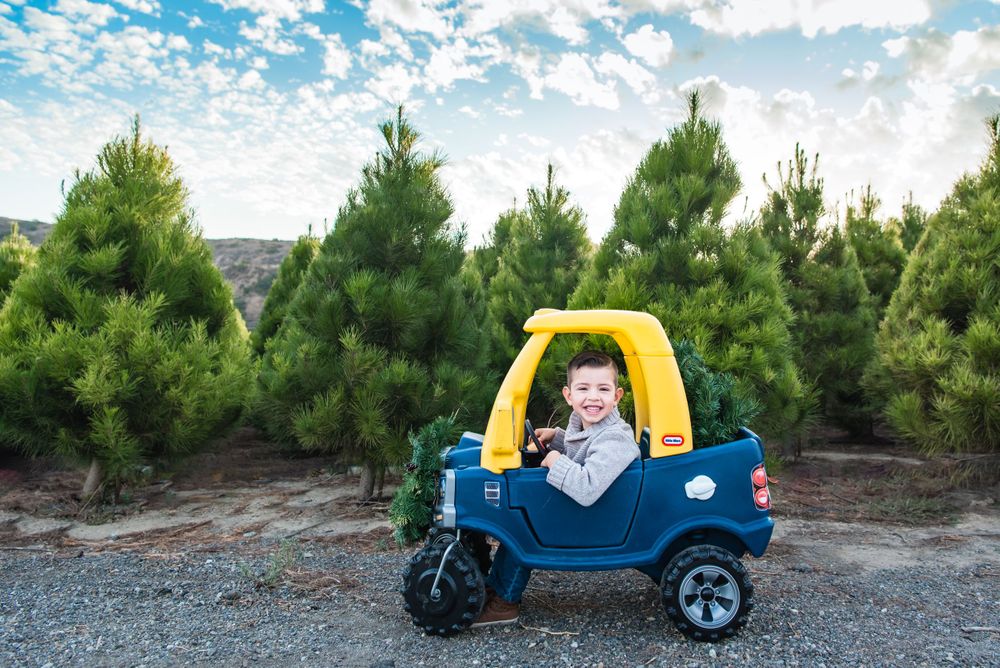 Photo of a little boy at Peltzer Pines Christmas Tree Farm in Orange County, CA