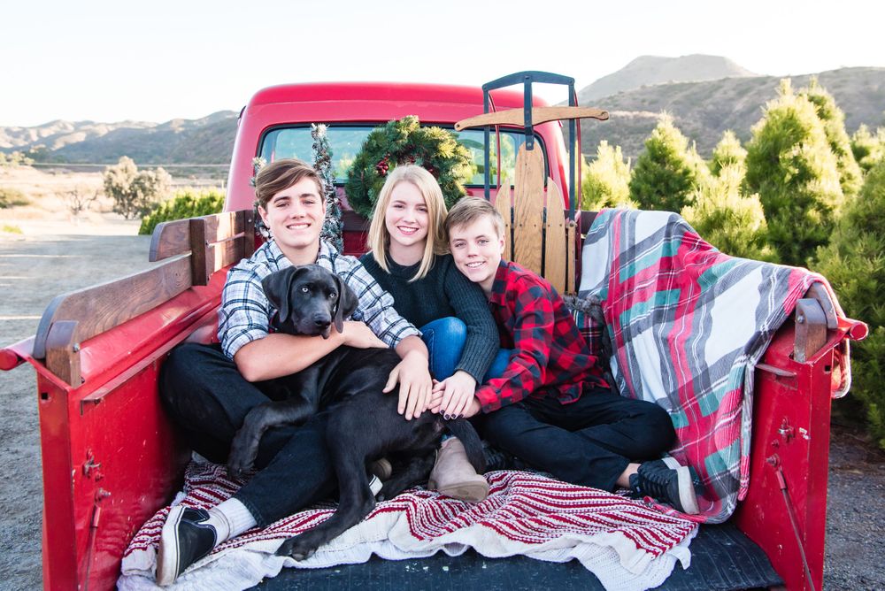 Photo of three siblings in red vintage truck at Peltzer Pines Christmas Tree Farm in Orange County, CA