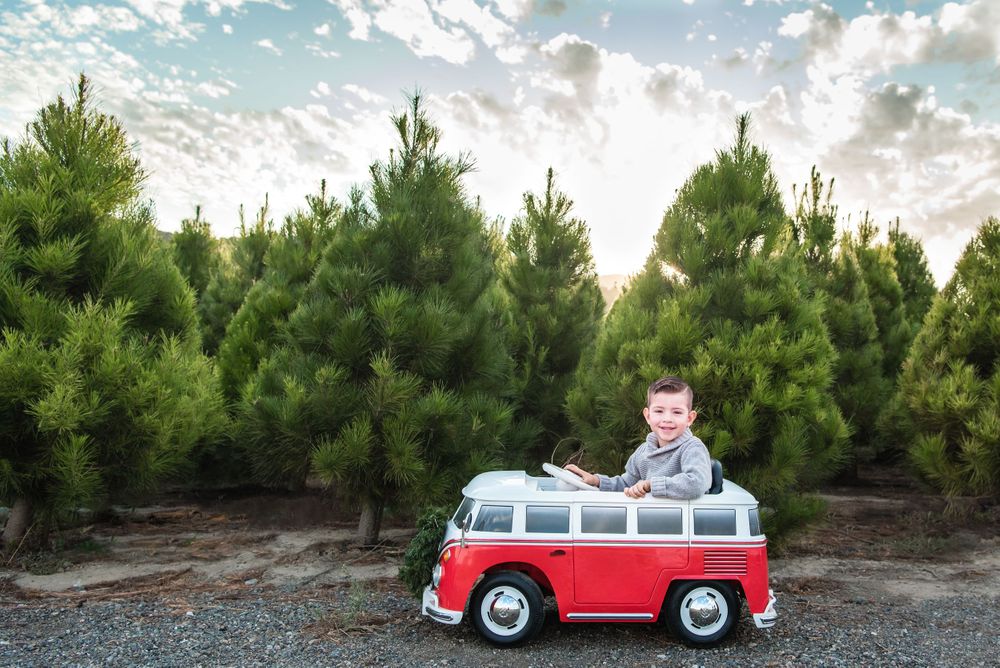 Orange County Christmas Tree Farm Photo Session, Orange County Family Photographer, Orange County Christmas Mini Session
