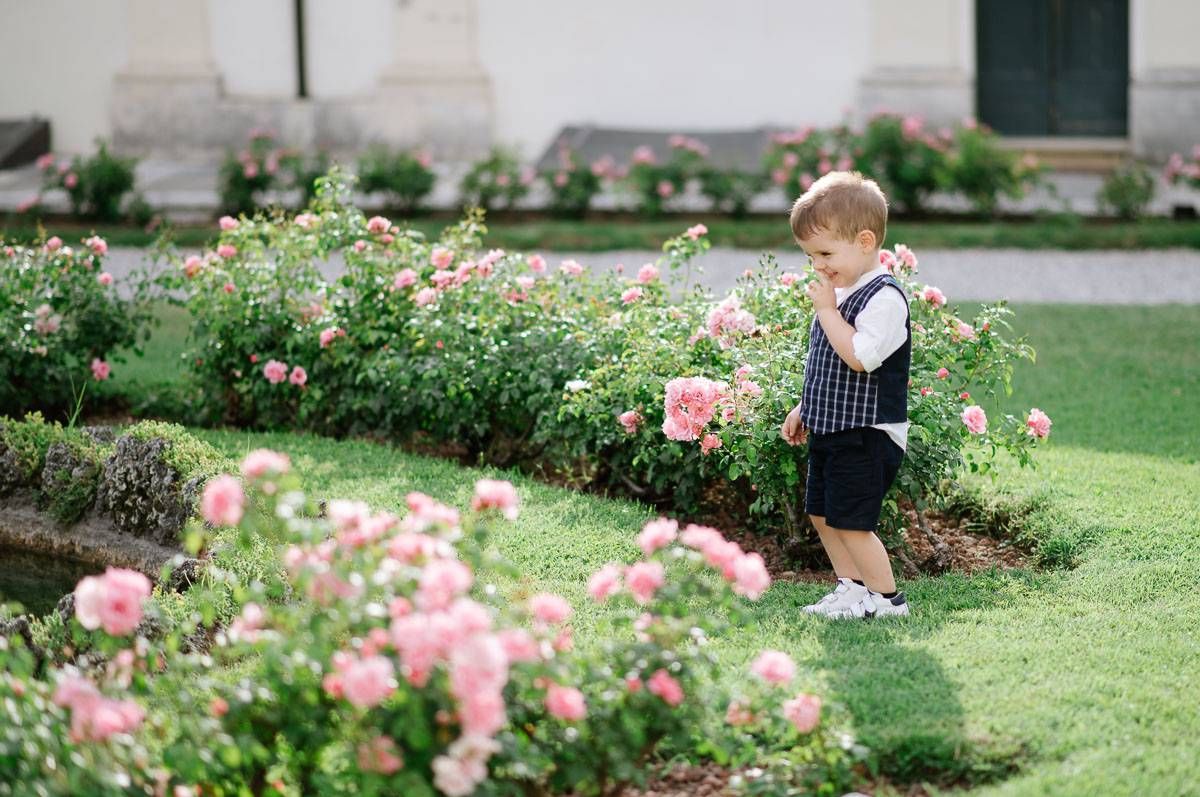 Young child explores blooming rose garden on sunny day.