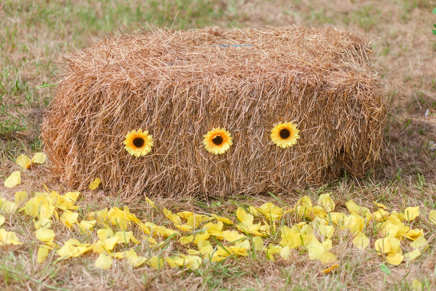 Hay bales decorated with bright yellow sunflowers create rustic wedding decor in a grassy field.