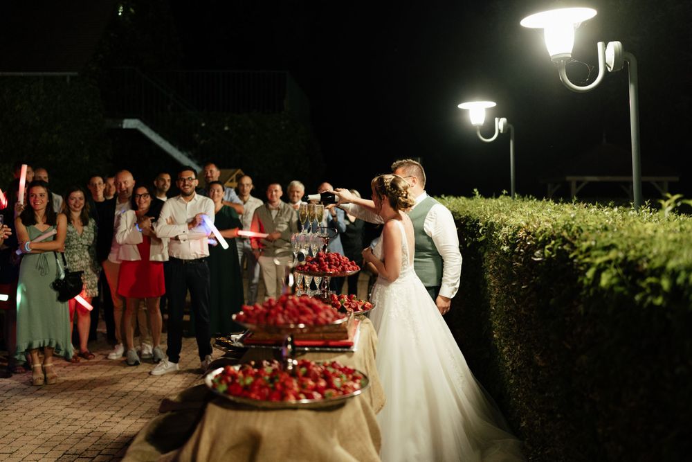 Mariage La Tour des Plantes, Moncé en belin