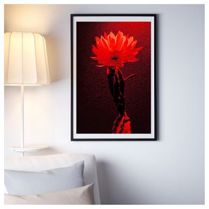 photography artwork gallery lobby hotel apartment display