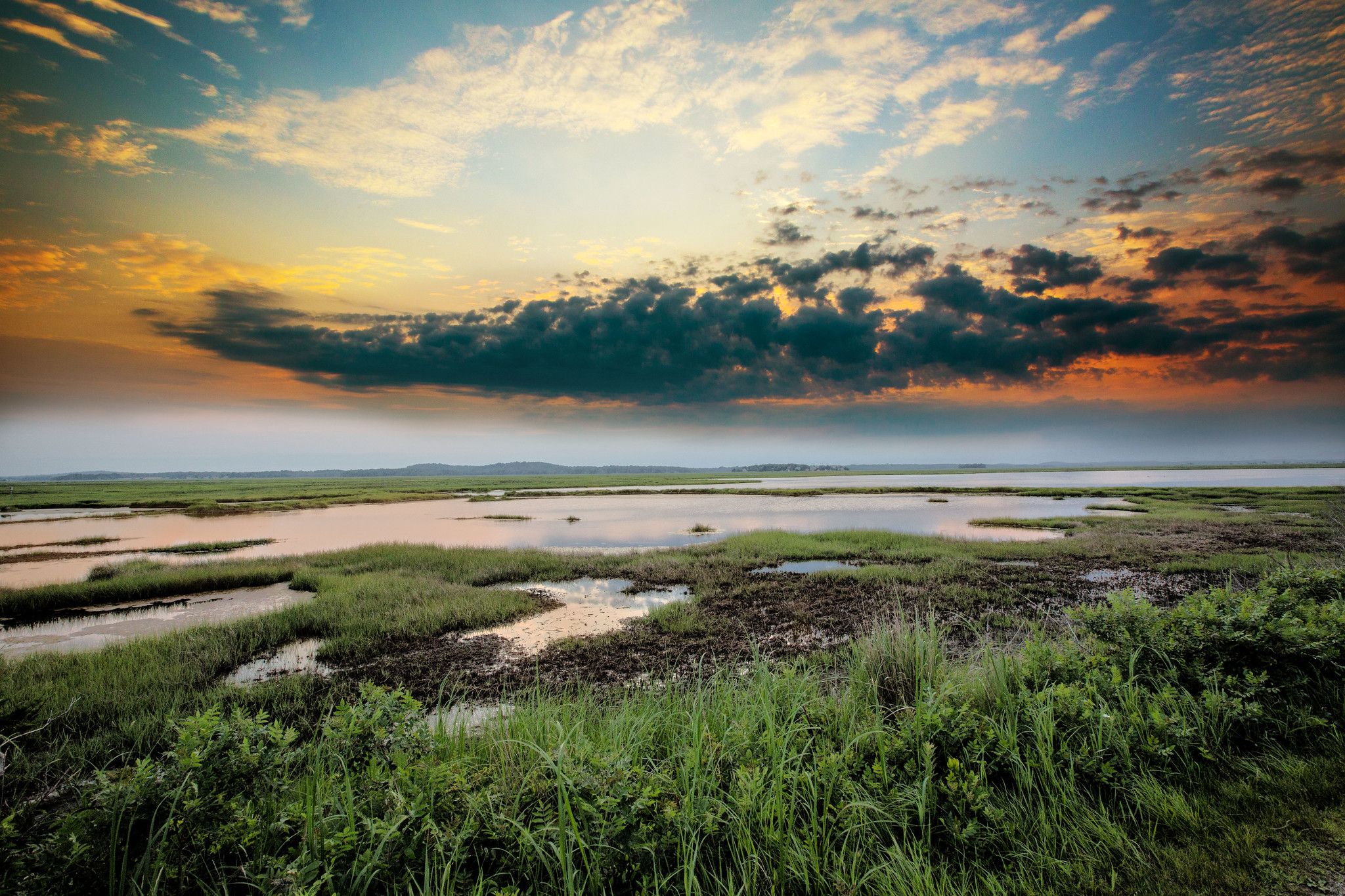 Salt Marsh  Landscape Photography ©Chad Foster Photography
