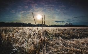 Frosted Marsh  Landscape Photography ©Chad Foster Photography