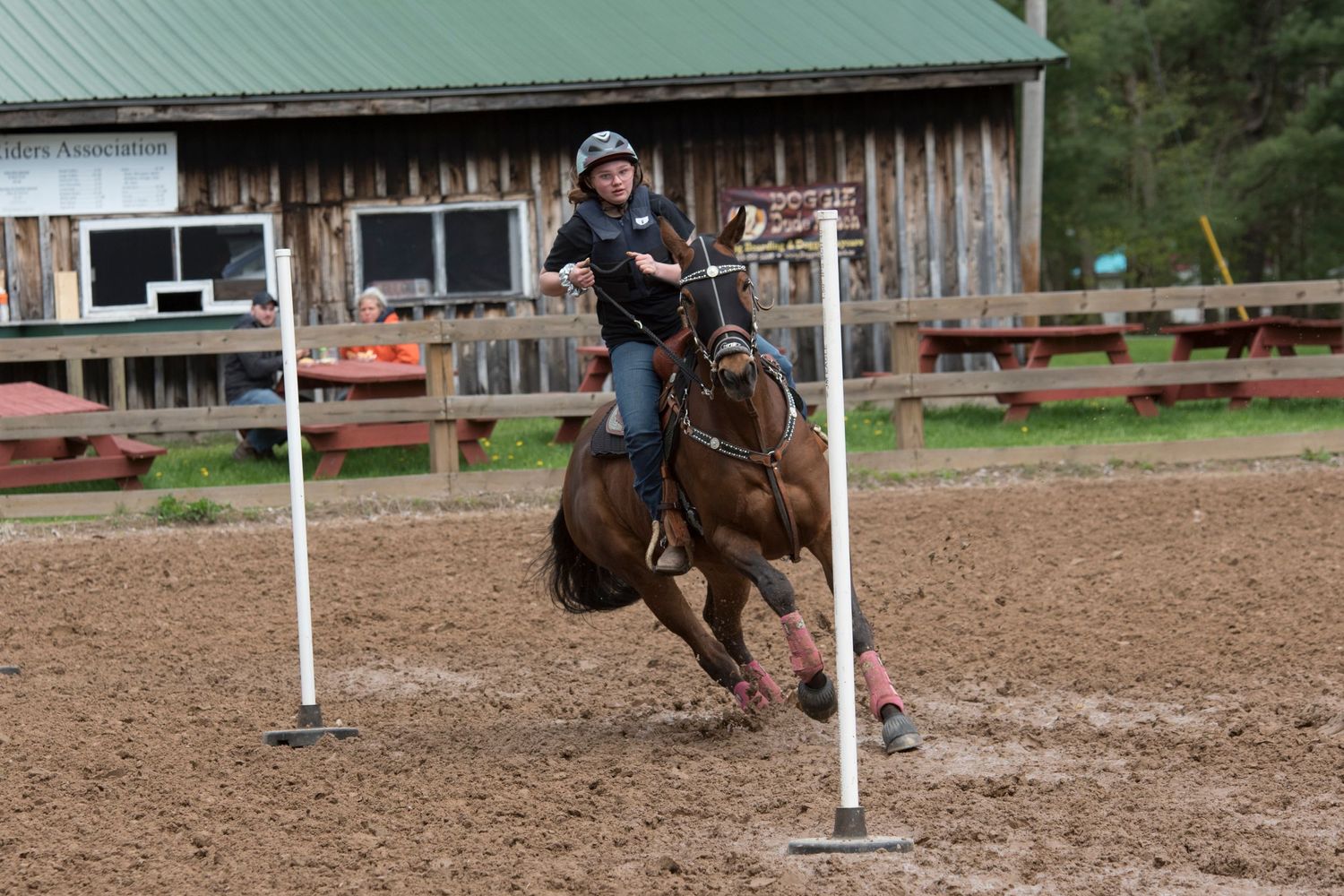 Aiken, South Carolina, Equestrian, Photographer, Georgia, Augusta, Equine