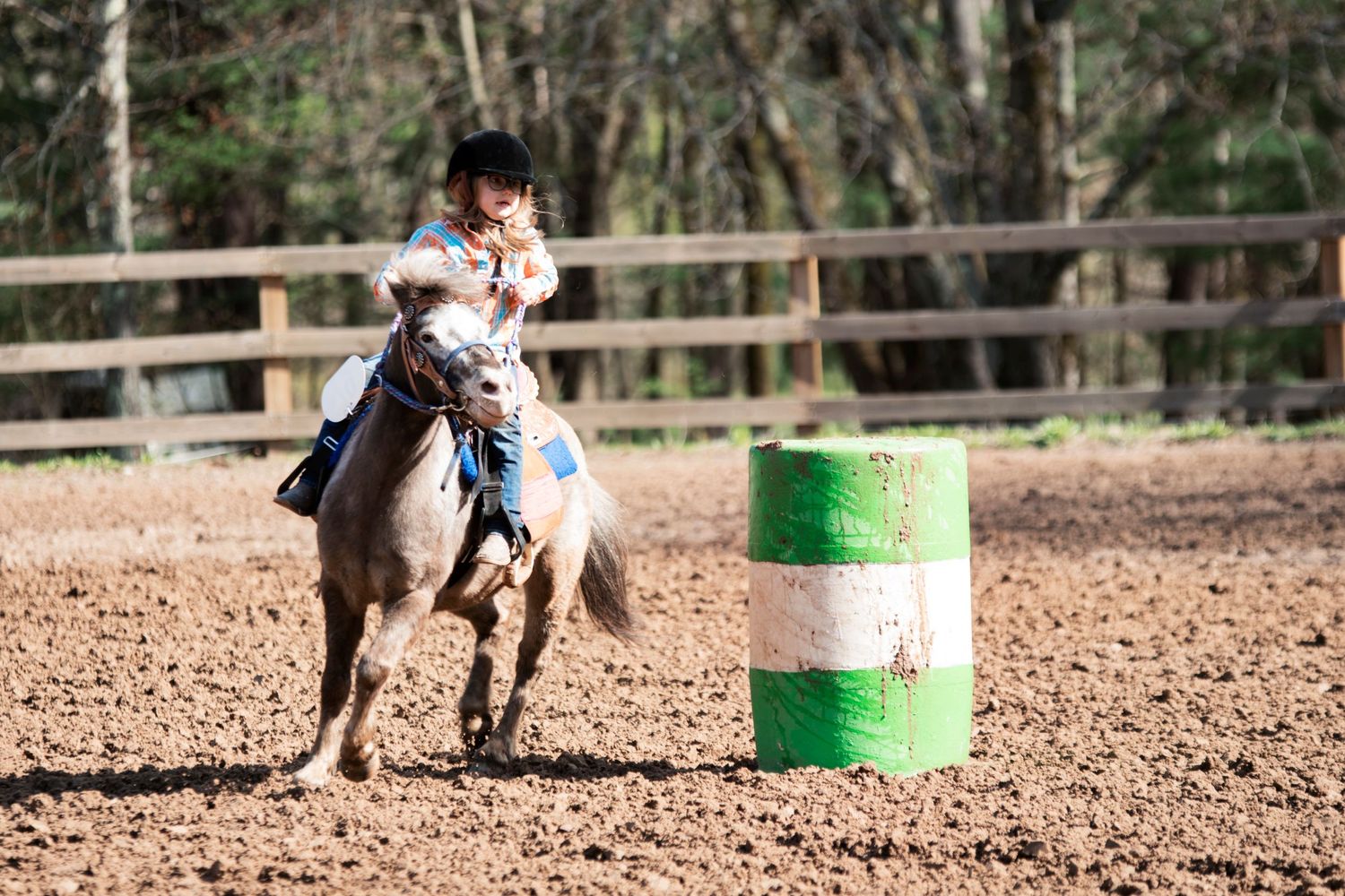 Aiken, South Carolina, Equestrian, Photographer, Georgia, Augusta, Equine