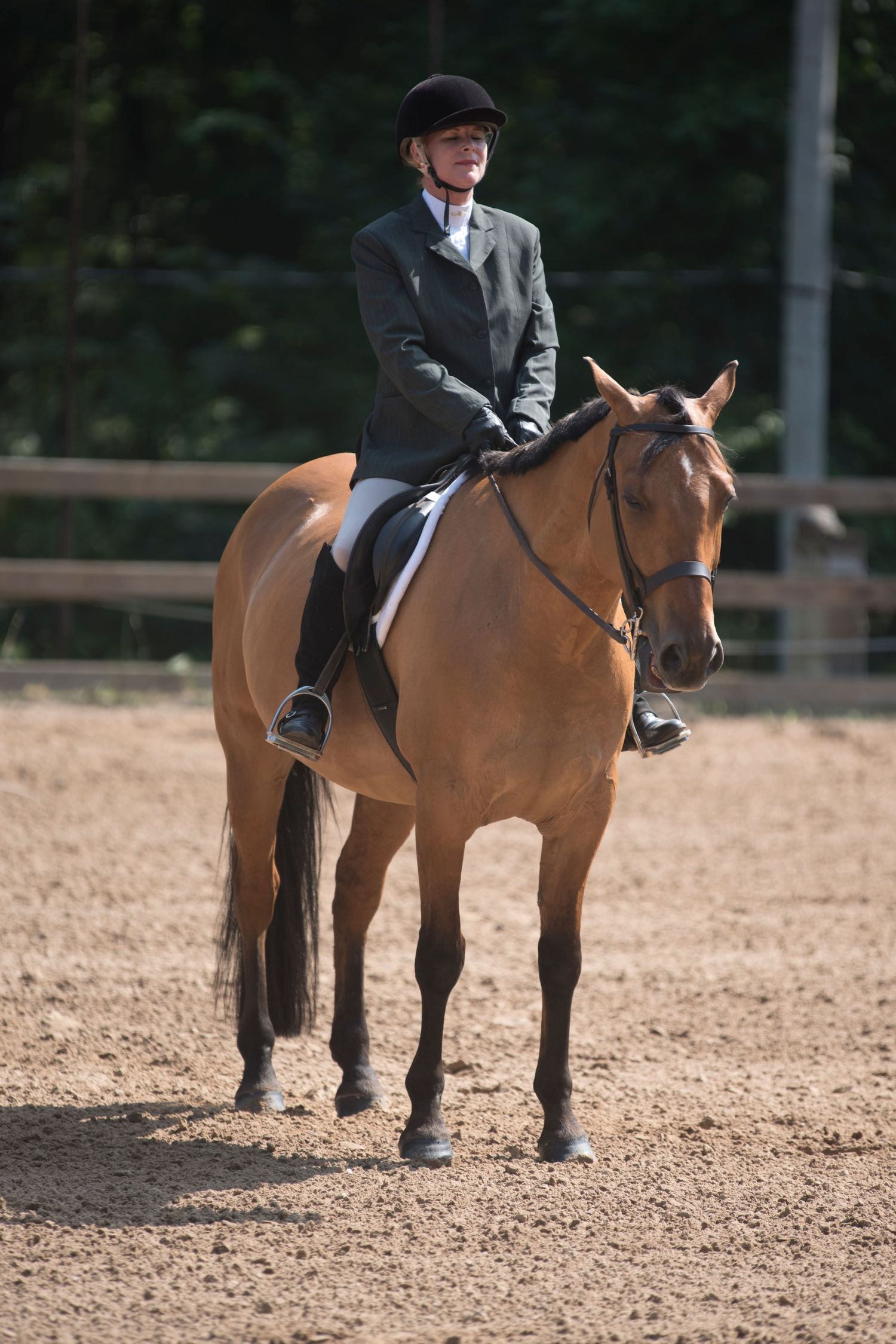 Aiken, South Carolina, Equestrian, Photographer, Georgia, Augusta, Equine