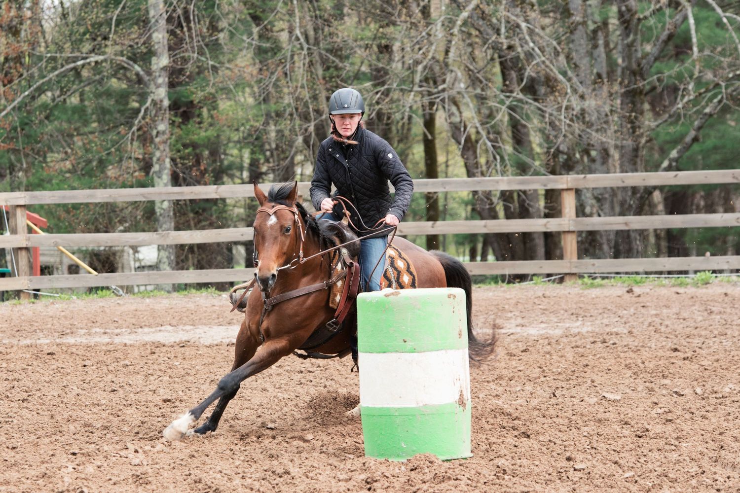 Aiken, South Carolina, Equestrian, Photographer, Georgia, Augusta, Equine