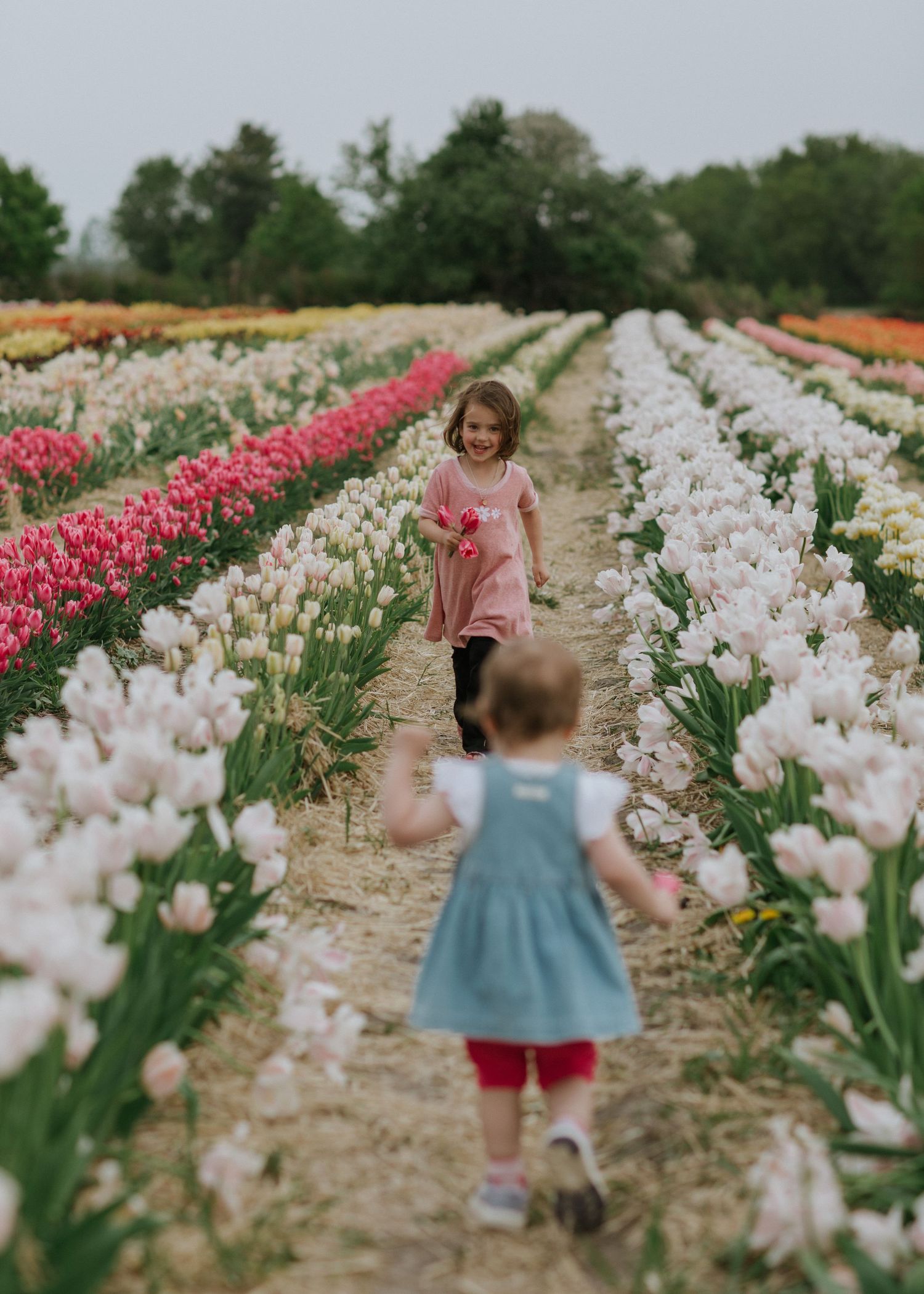 Children running carefree through a vibrant tulip field near Ottawa, ON.