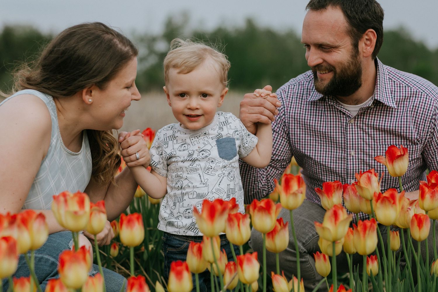 Happy family enjoying a candid moment amidst colorful tulips in a picturesque field near Ottawa, ON.