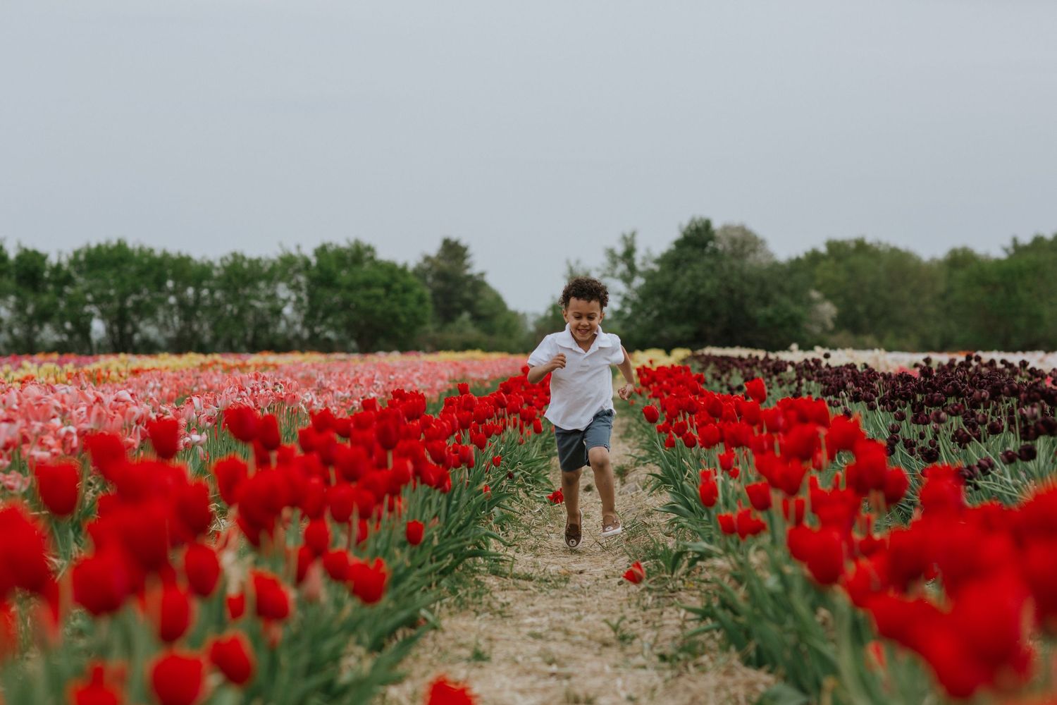 Child running carefree through a tulip field near Ottawa, ON.