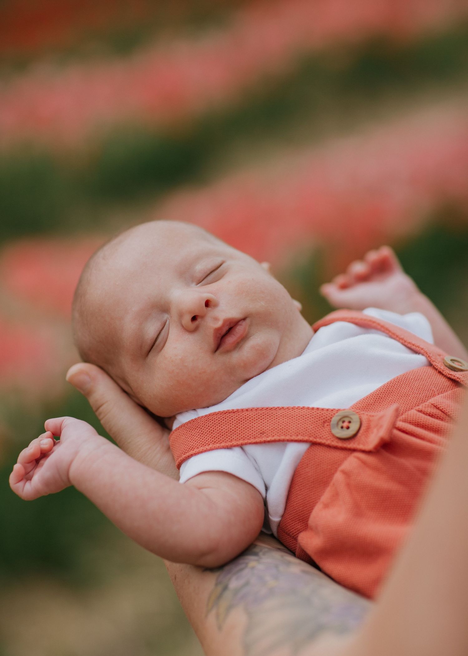 Baby photos in a vibrant tulip field near Ottawa, ON.
