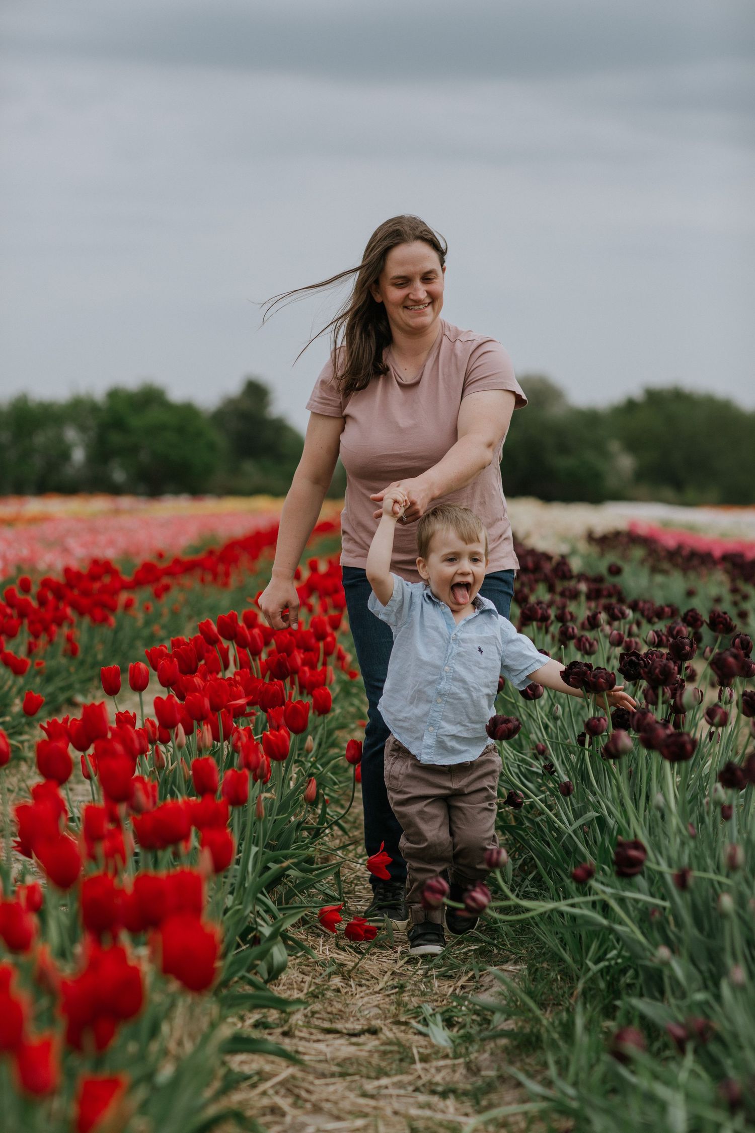 Child pulling his mom through a vibrant tulip field near Ottawa, ON.