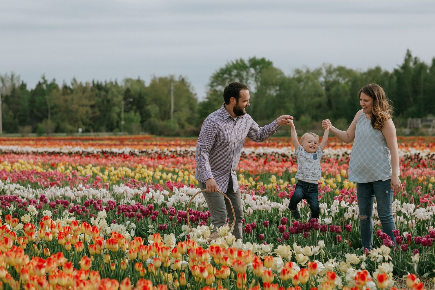 Family making their child laugh in a vibrant tulip field near Ottawa, ON.