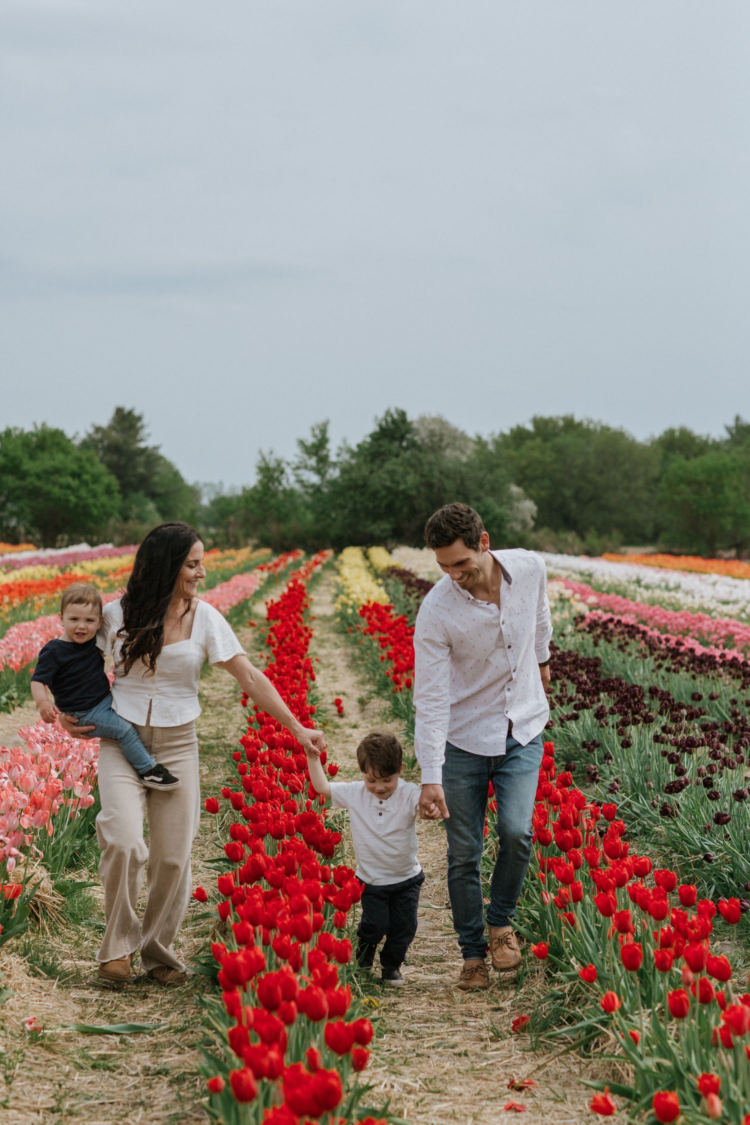 Tulip Mini Sessions - Melanie Radley Photo