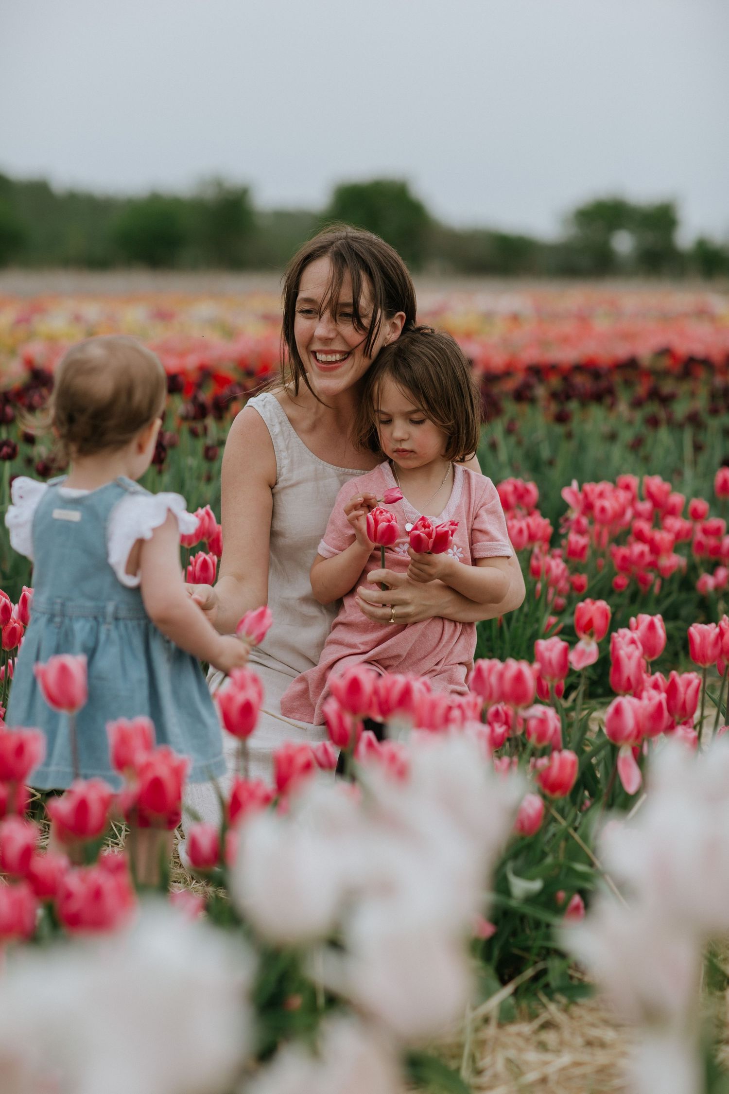 Happy family enjoying a candid moment picking colorful tulips in a picturesque field