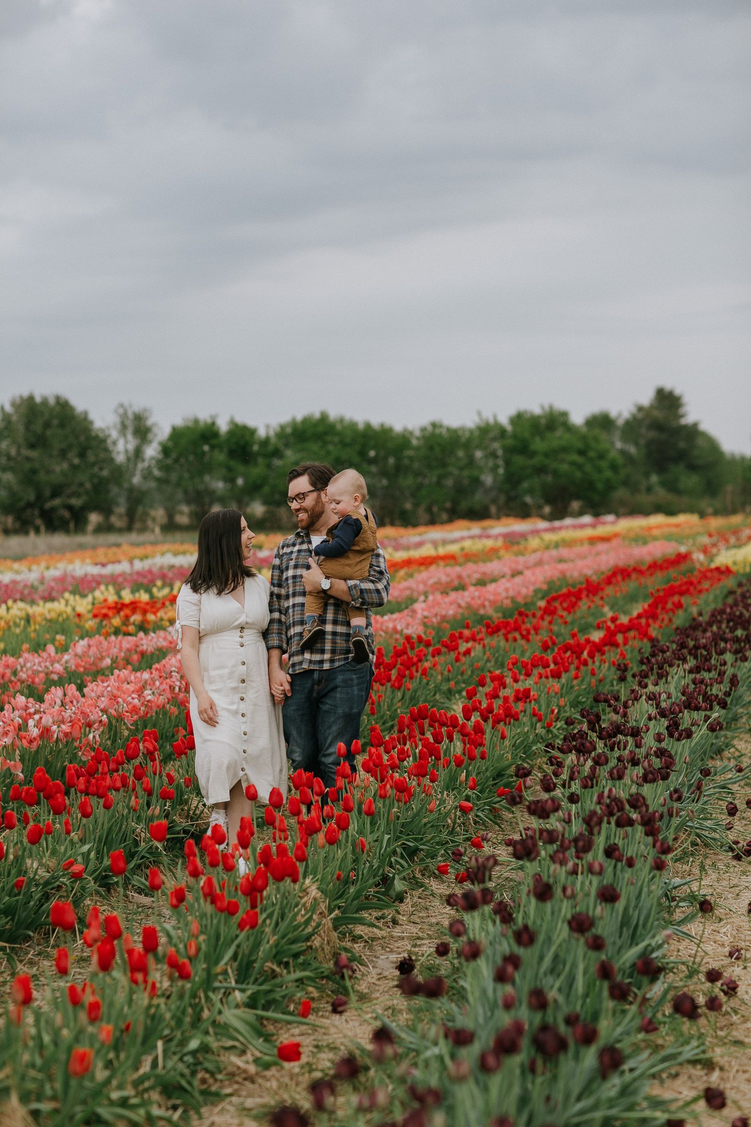 Happy family enjoying a candid moment amidst colorful tulips in a picturesque field near Ottawa, ON.