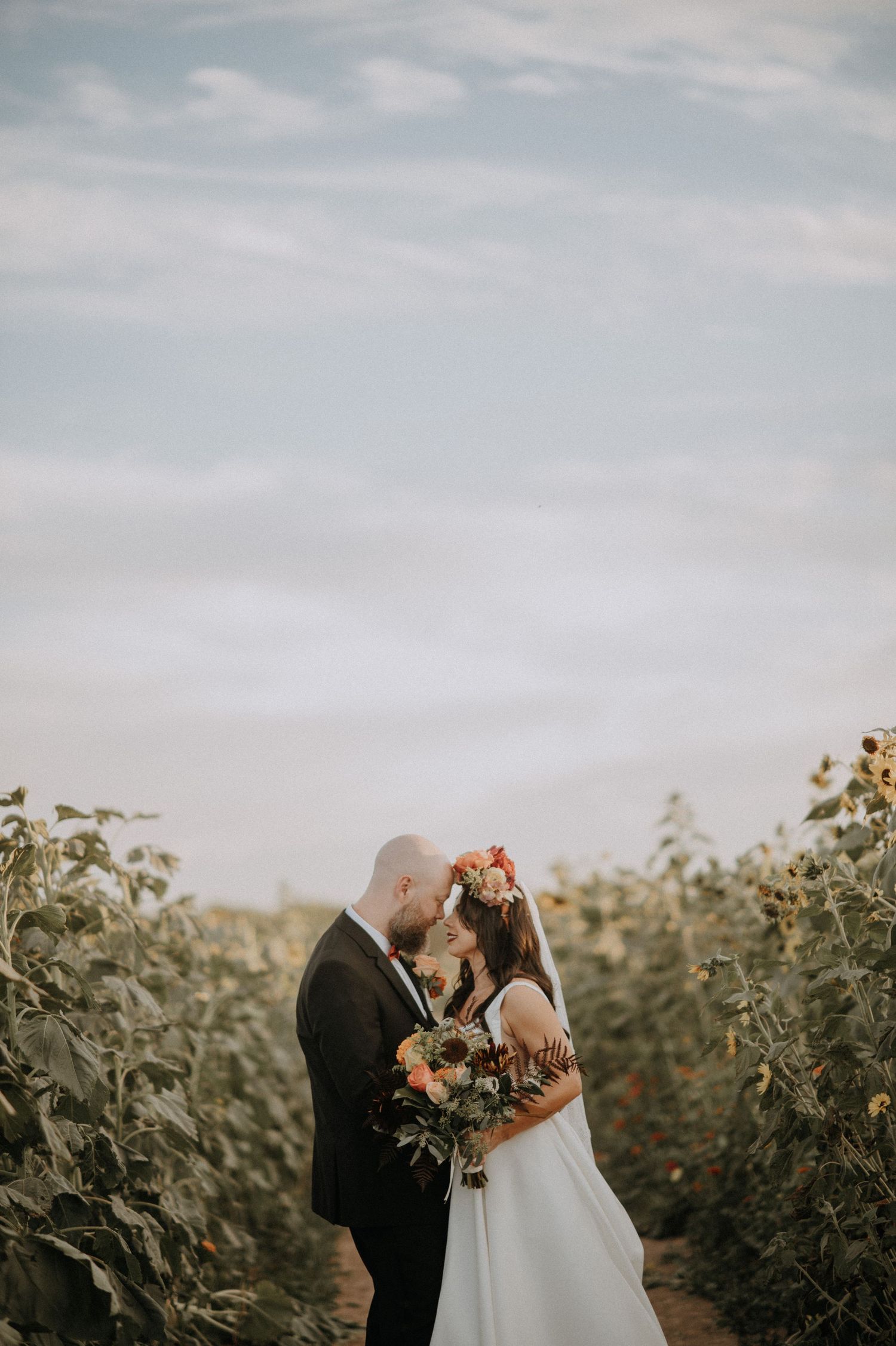 A couple embraces in a sunflower field during golden hour.