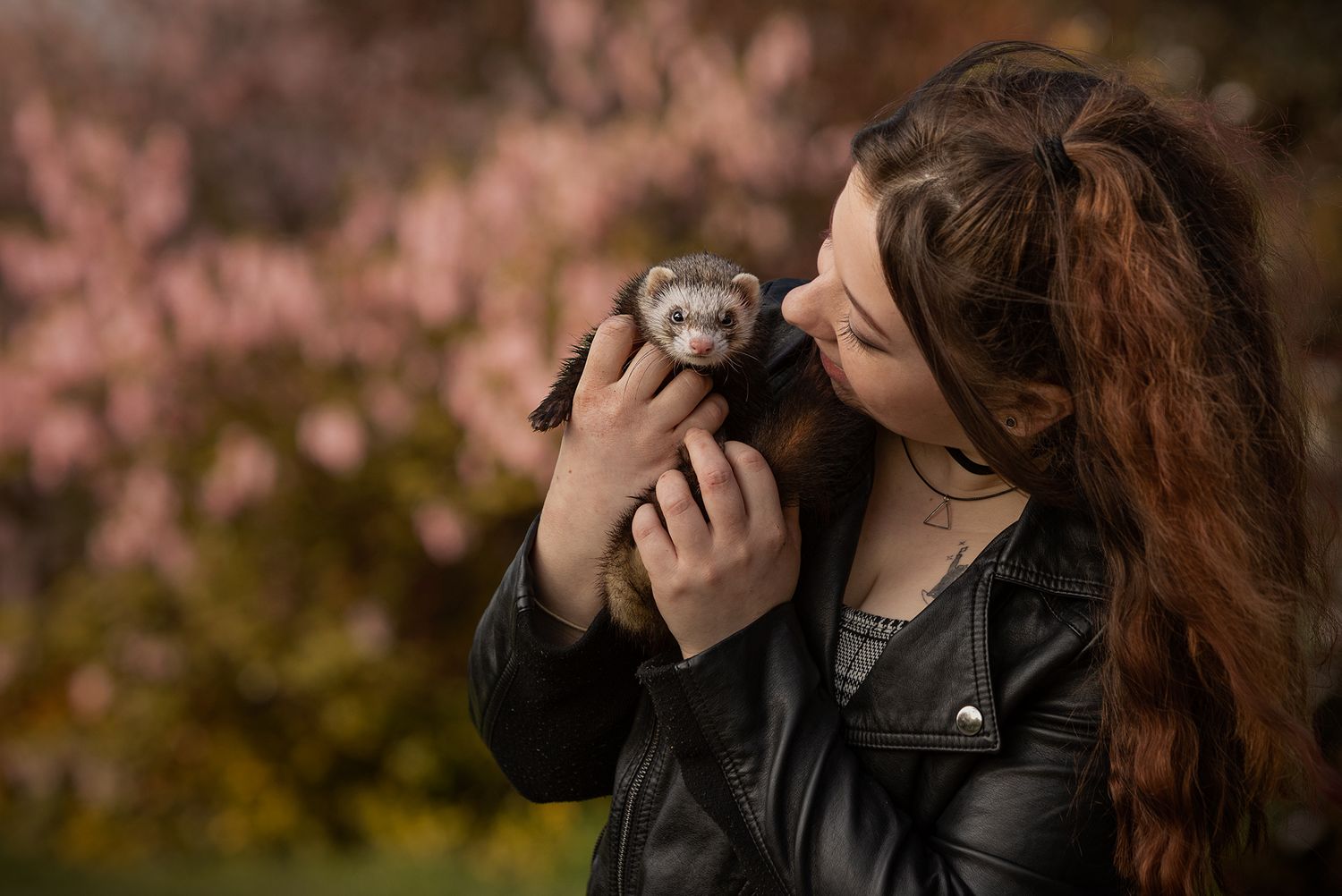 cheshire pet photographer, ferrter, crewe