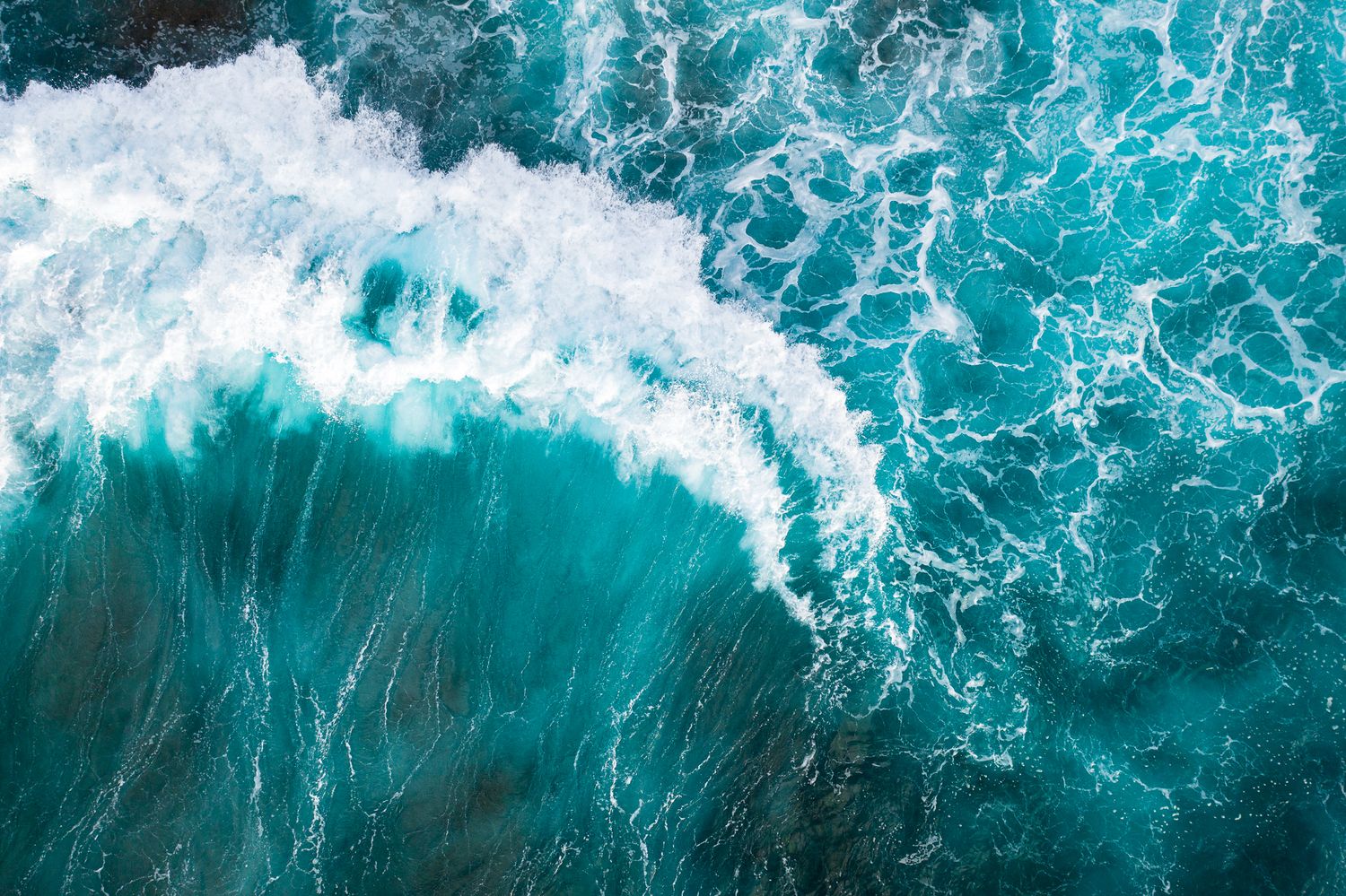 Oahu commercial photography north shore Hawaii Freedive photographer swim surf product swimsuit lifestyle videographer