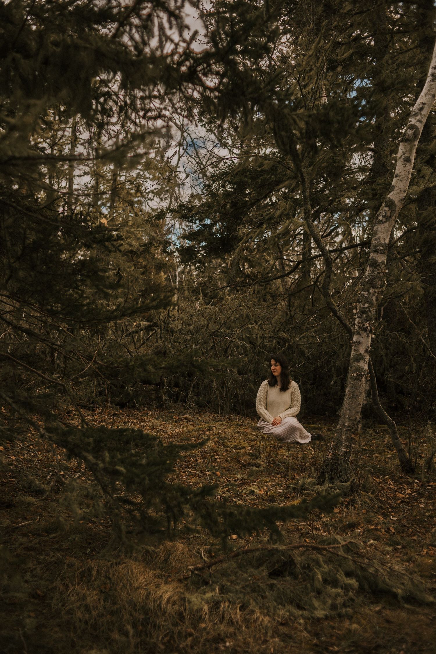 Moody forest scene with scattered autumn leaves and birch trees in dark lighting.