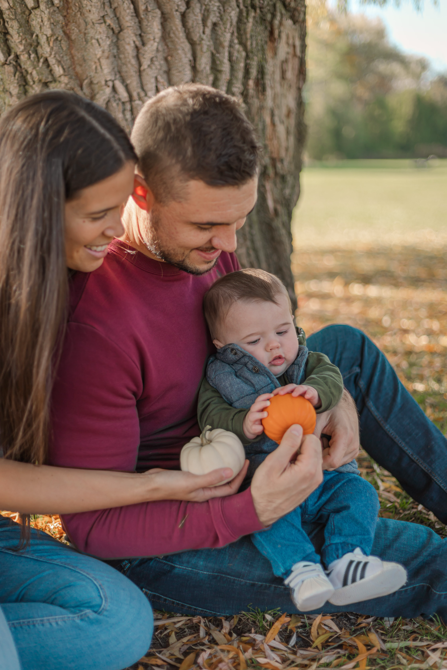 A family sits under a tree in autumn holding small pumpkins and gourds.