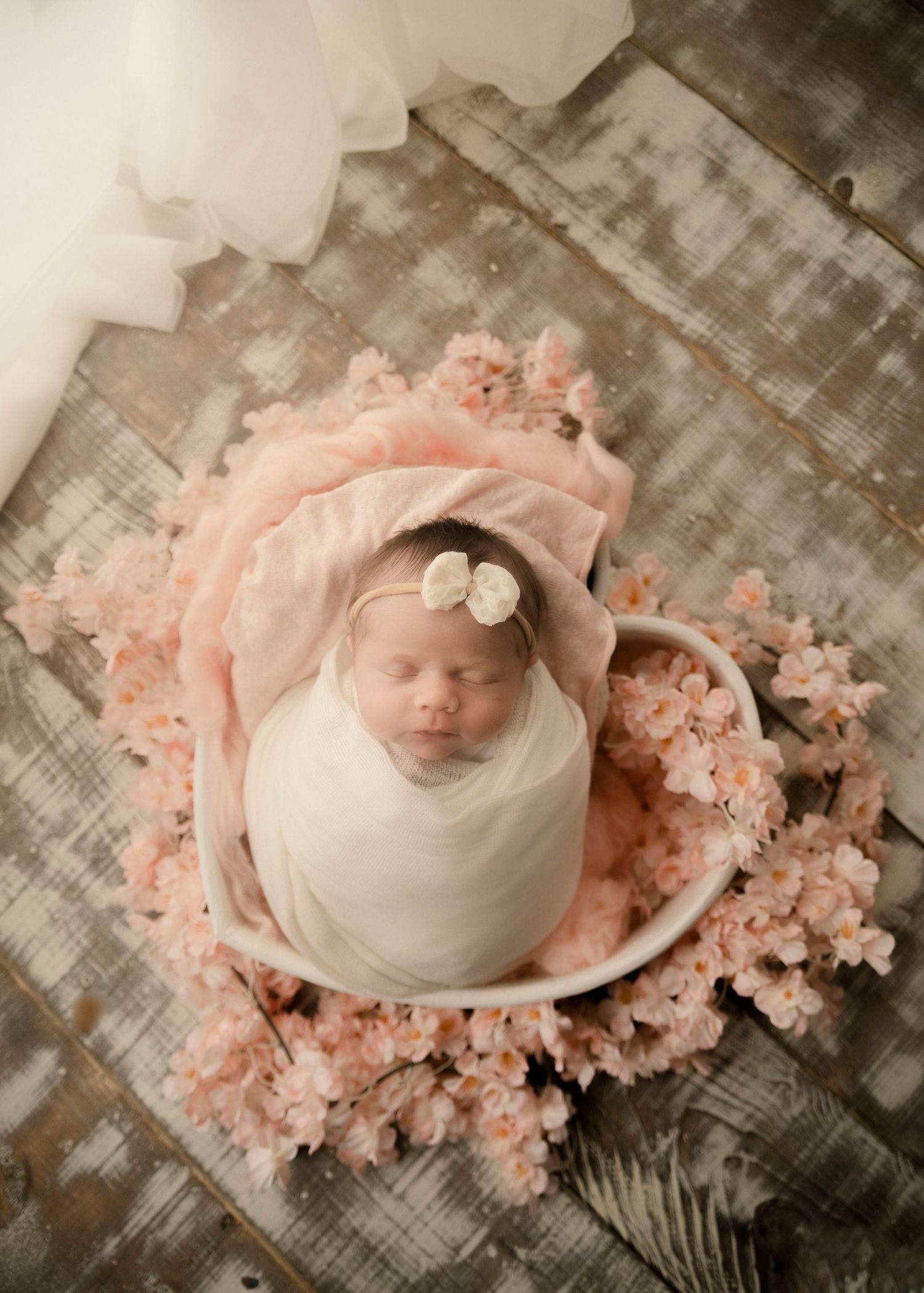 north mississippi newborn photographer